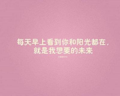 表达爱意的唯美句子