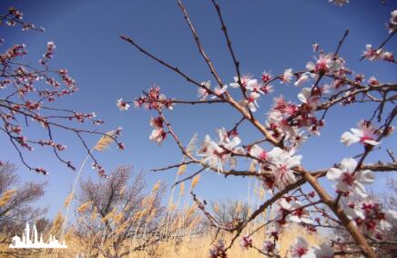 那一夜（外二首）