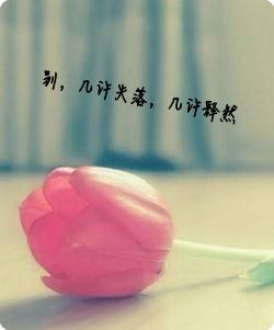 对一段感情释然的短句 了断一段感情的经典语句