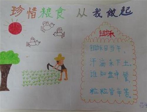 手抄报图片大全大米的由来数学手抄报 数学手抄报