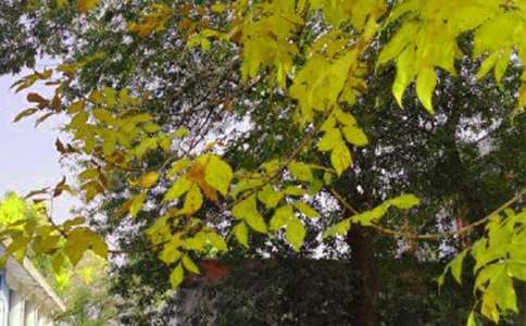 2024年简单的新版早安微信问候语集锦65句