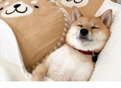 向朋友告别的句子 告别朋友的句子抖音