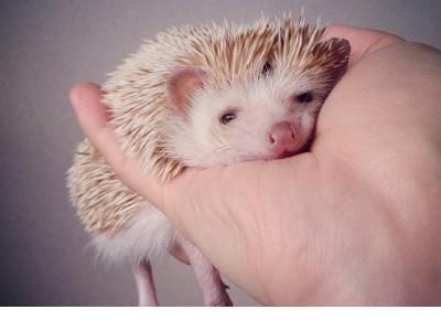 关于下雨的唯美句子 形容下雨的句子唯美