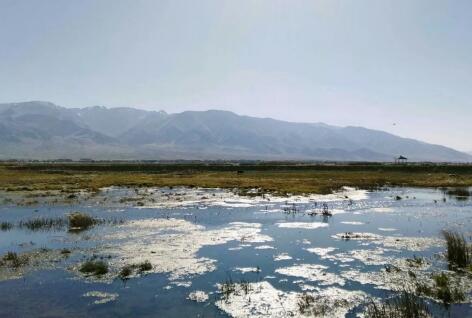生活需要一种激情