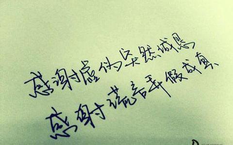 表达没有爱的句子 句子里没有爱却句句体现出爱