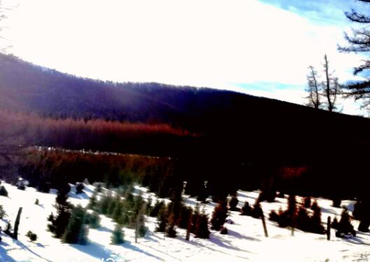 人应该有点野心