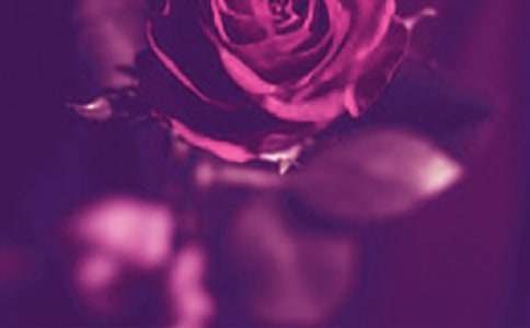 聊天情话大全浪漫情话