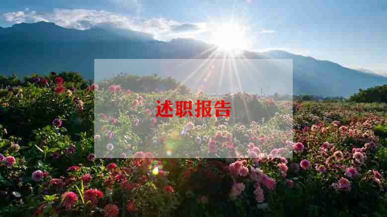 本项目述职报告6篇