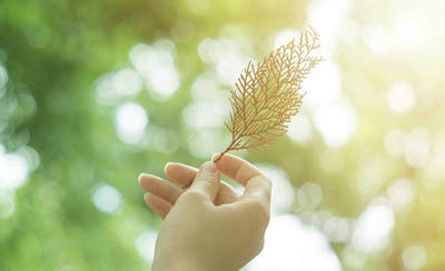 有哲理的句子让人变得阳光