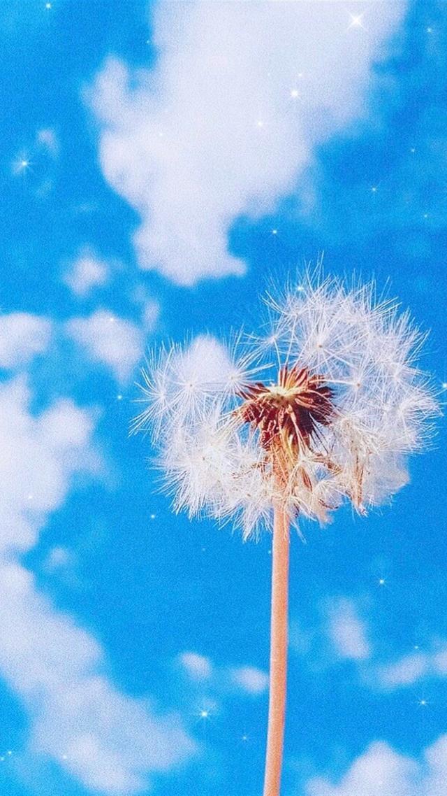 晚安文案励志(充满正能量的晚安句子) 晚安文案励志(充满正能量的晚安句子)