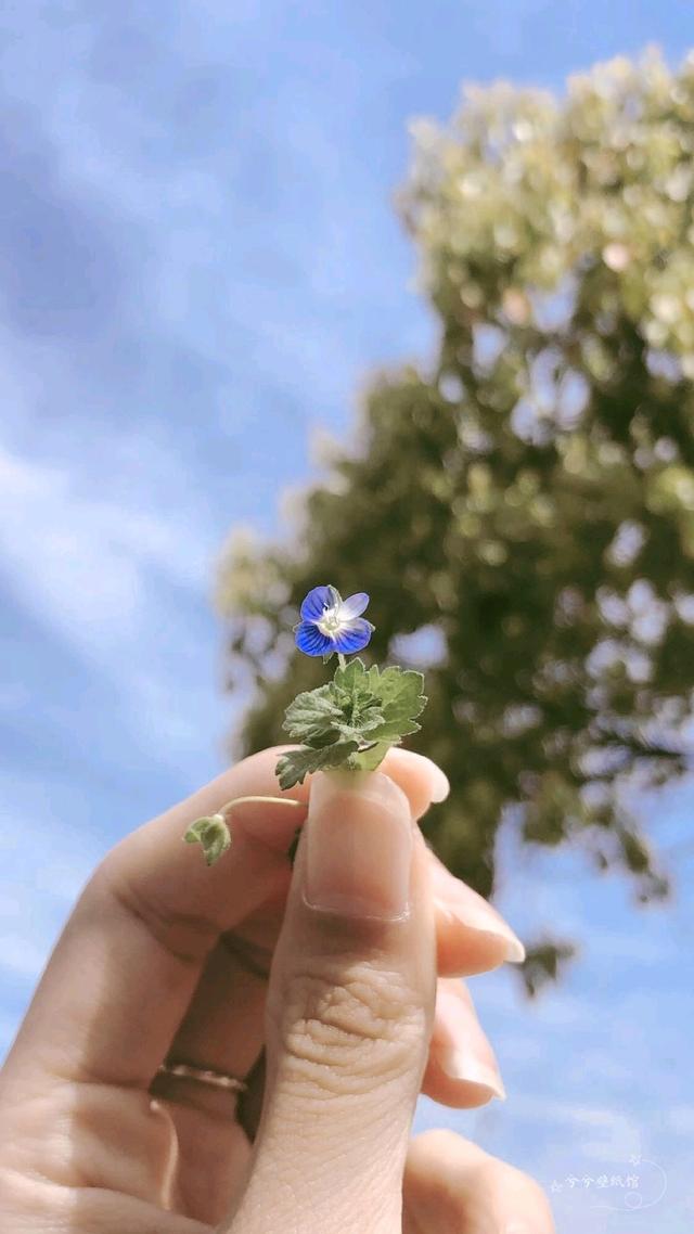 晚安文案励志(充满正能量的晚安句子) 晚安文案励志(充满正能量的晚安句子)