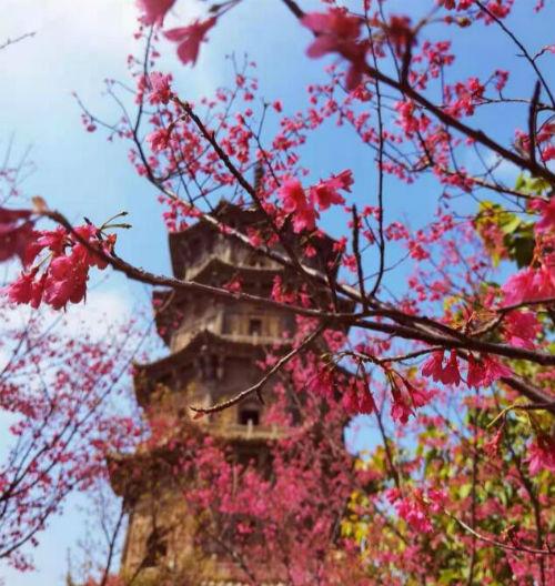 鹊桥仙境文案励志(大雾四起文案配图) 鹊桥仙境文案励志(大雾四起文案配图)