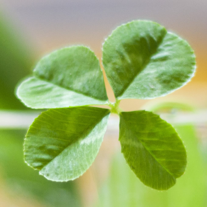 适合做微信头像的照片