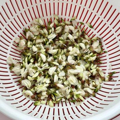 槐花做法文案励志(关于凌霄花的文案) 槐花做法文案励志(关于凌霄花的文案)