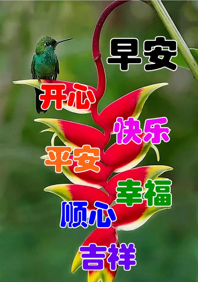 关于月亮励志文案(关于月亮的文案唯美) 关于月亮励志文案(关于月亮的文案唯美)