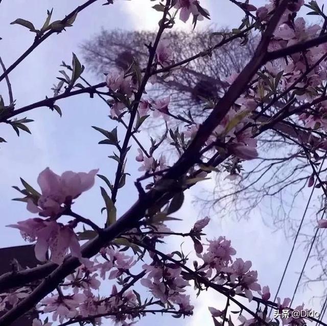足球励志文案爱情(小孩踢足球的简短说说) 足球励志文案爱情(小孩踢足球的简短说说)