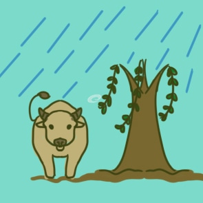 清明祭英烈满分作文