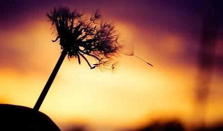 问世间情为何物,骗着我以身相许