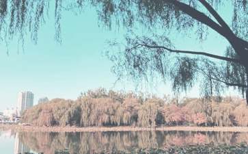 秋季学生期末评语