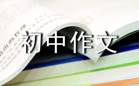 我的故事初中作文300字4篇