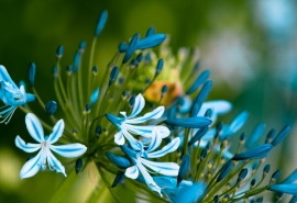 人生没有比赛输赢的起跑线