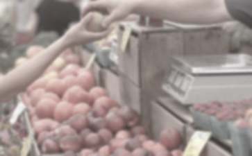 实用的市场营销策划范文集锦6篇