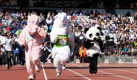 运动会作文600字(经典5篇)