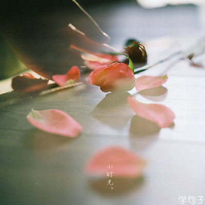 人生感悟的句子图片