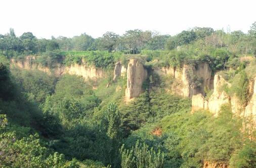 西山往事——土崖上的那对鹁鸽