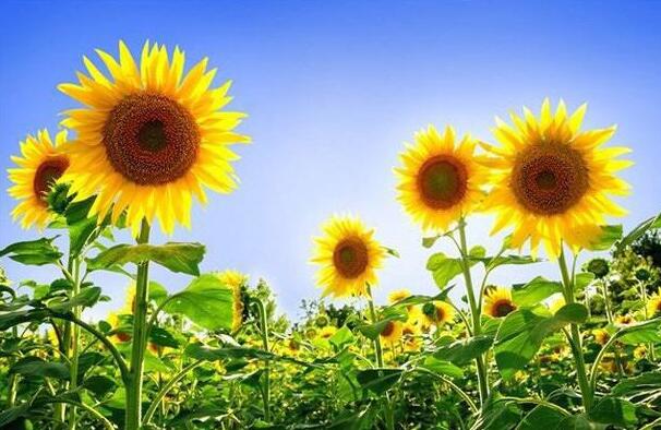 走过山海走向春