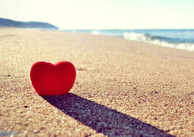 体会爱情的句子