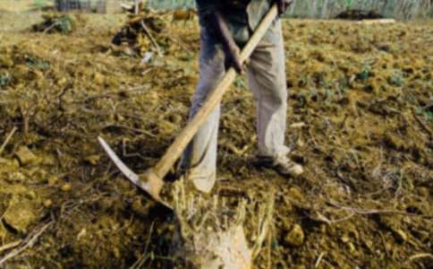 《农夫耕田》阅读答案（精选7套）