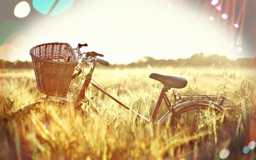 早上激励自己努力奋斗的语录