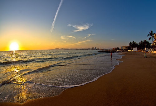 幼儿进入小学的感言(精选51句)