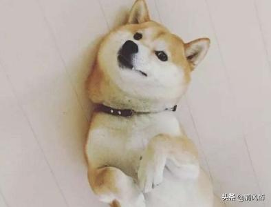 励志伤感过年文案(过年伤感文案) 励志伤感过年文案(过年伤感文案)
