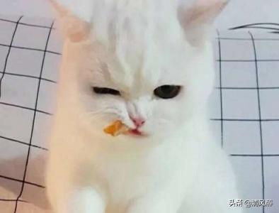 励志伤感过年文案(过年伤感文案) 励志伤感过年文案(过年伤感文案)