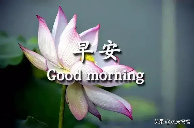 另类摔跤图片早安文案励志(晚安朋友圈正能量带图) 另类摔跤图片早安文案励志(晚安朋友圈正能量带图)