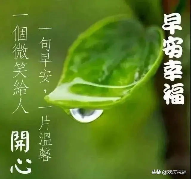另类摔跤图片早安文案励志(晚安朋友圈正能量带图) 另类摔跤图片早安文案励志(晚安朋友圈正能量带图)