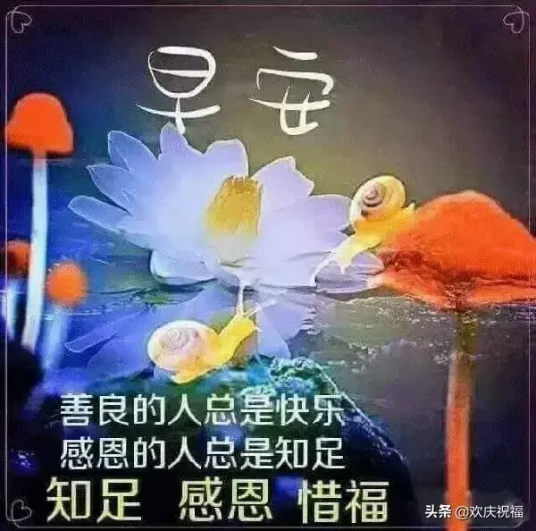 另类摔跤图片早安文案励志(晚安朋友圈正能量带图) 另类摔跤图片早安文案励志(晚安朋友圈正能量带图)