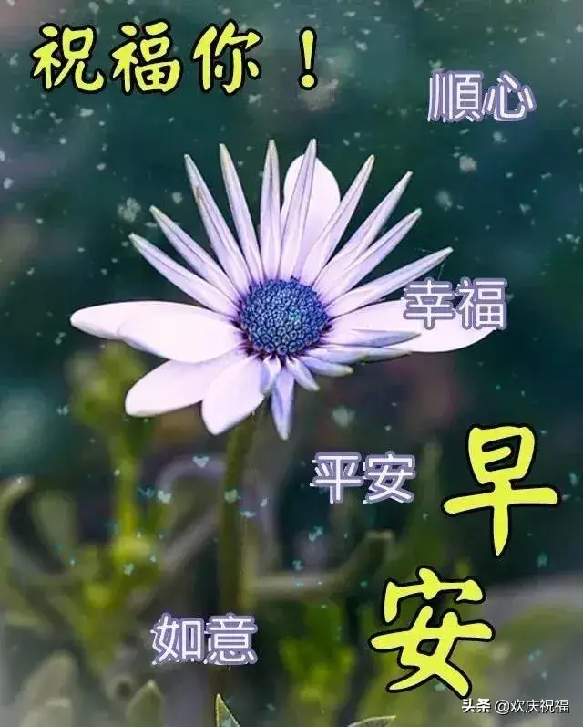 另类摔跤图片早安文案励志(晚安朋友圈正能量带图) 另类摔跤图片早安文案励志(晚安朋友圈正能量带图)
