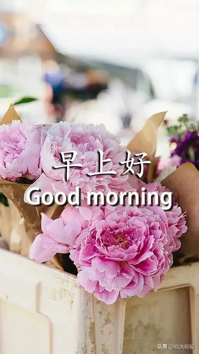 另类摔跤图片早安文案励志(晚安朋友圈正能量带图) 另类摔跤图片早安文案励志(晚安朋友圈正能量带图)