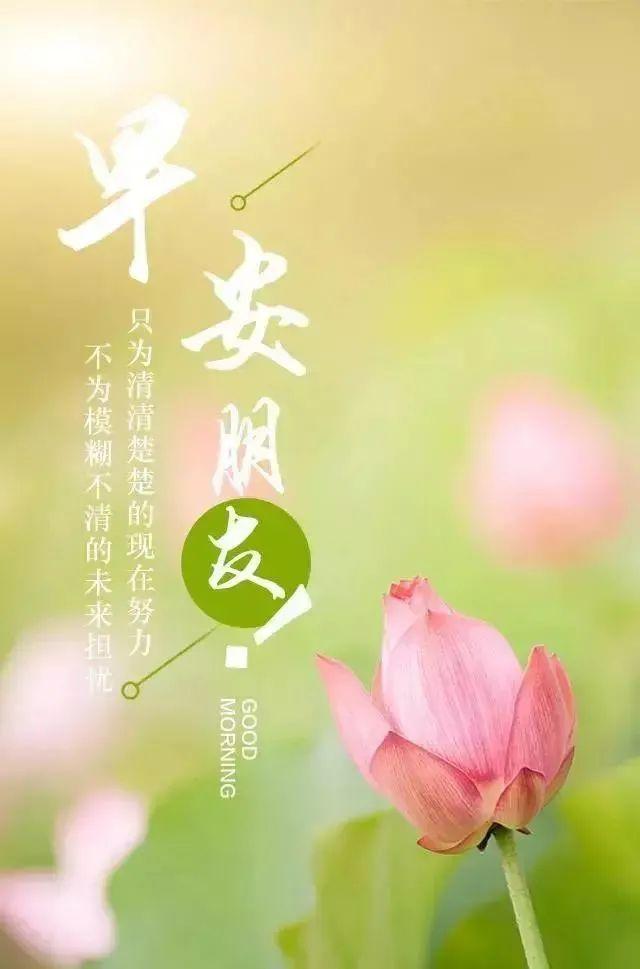 想喝酒的文案高级励志(我想喝酒的文案) 想喝酒的文案高级励志(我想喝酒的文案)