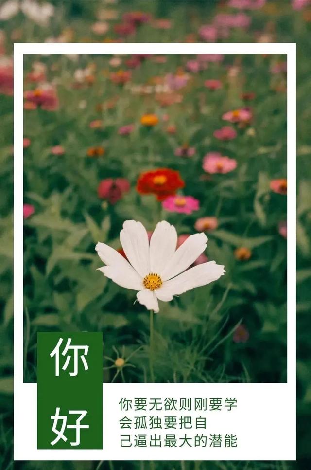 想喝酒的文案高级励志(我想喝酒的文案) 想喝酒的文案高级励志(我想喝酒的文案)