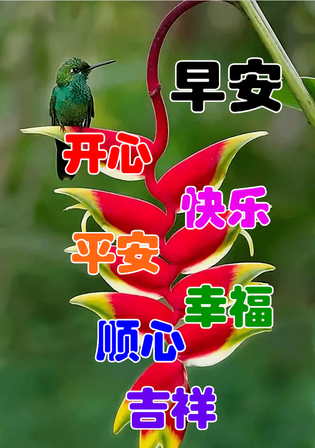 想喝酒的文案高级励志(我想喝酒的文案) 想喝酒的文案高级励志(我想喝酒的文案)