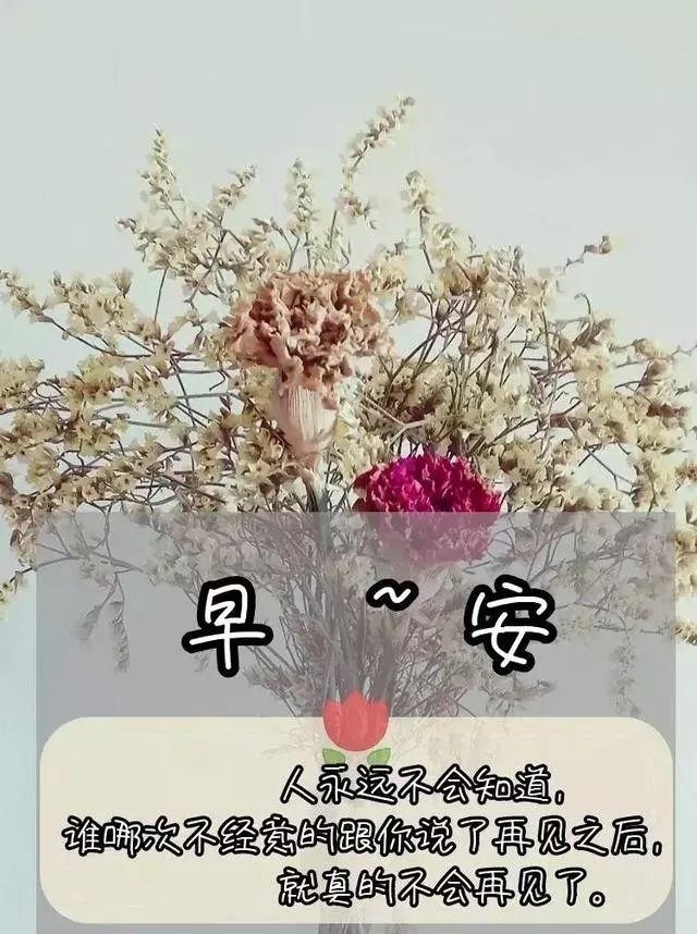 想喝酒的文案高级励志(我想喝酒的文案) 想喝酒的文案高级励志(我想喝酒的文案)