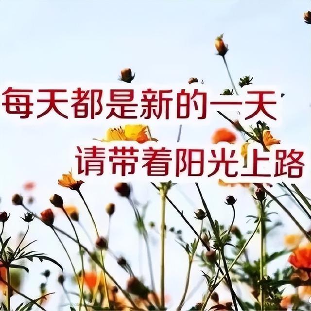 想喝酒的文案高级励志(我想喝酒的文案) 想喝酒的文案高级励志(我想喝酒的文案)
