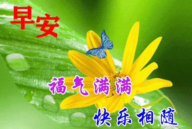 想喝酒的文案高级励志(我想喝酒的文案) 想喝酒的文案高级励志(我想喝酒的文案)