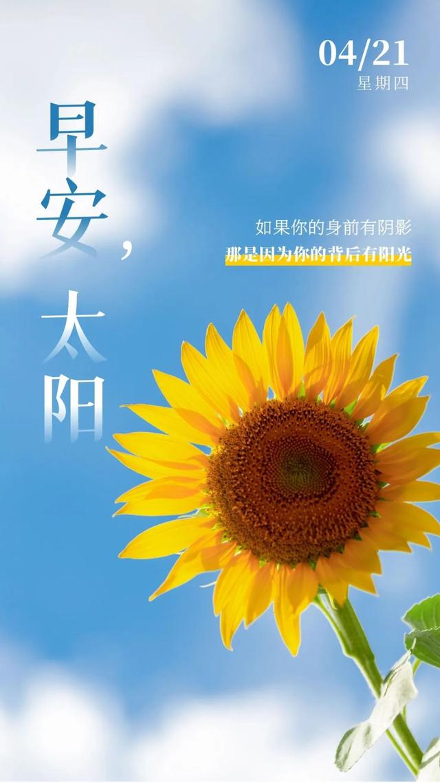 想喝酒的文案高级励志(我想喝酒的文案) 想喝酒的文案高级励志(我想喝酒的文案)