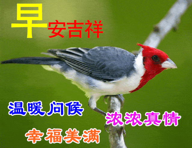 想喝酒的文案高级励志(我想喝酒的文案) 想喝酒的文案高级励志(我想喝酒的文案)