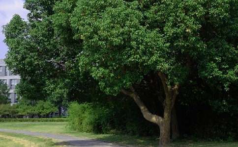 关于最励志早安心语 每日晨语正能量文案